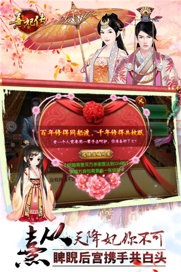 熹妃传截图