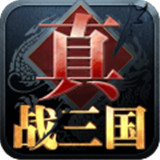 真·战三国