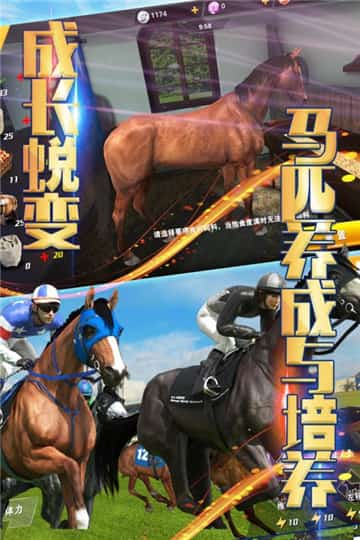 相马大师内测版截图