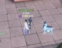 005.jpg