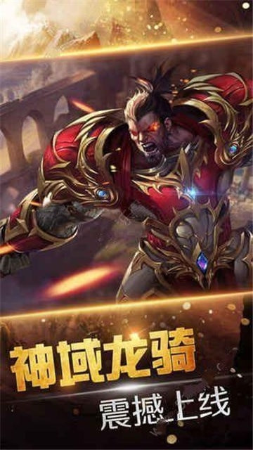 龙骑士之光截图