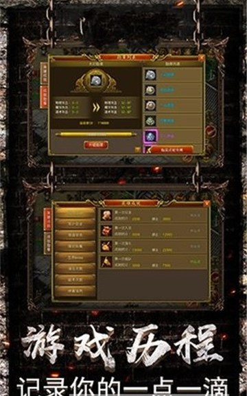 28931_5w5g.jpg