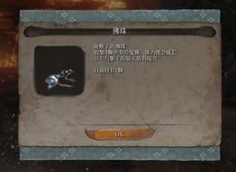 007.jpg