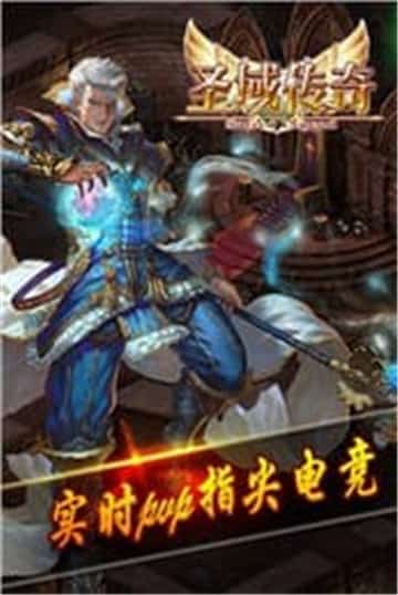 圣域传奇安卓版截图