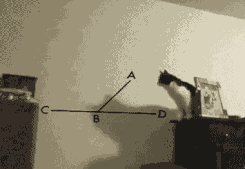 5.gif
