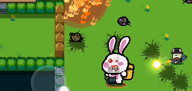 1554700993239747.gif