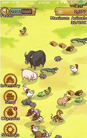 乐园生活绵羊村截图