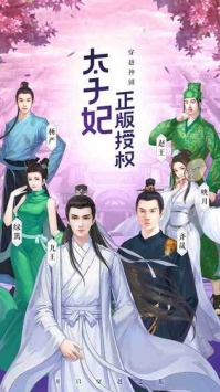太子妃升职记手游截图