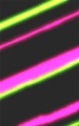 1557457141770166.jpg