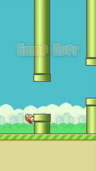 flappy bird截图