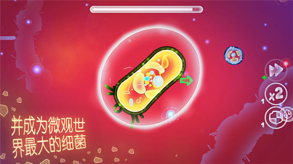 微观的世界细菌生存截图