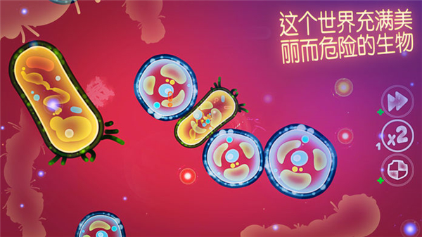 微观的世界细菌生存截图