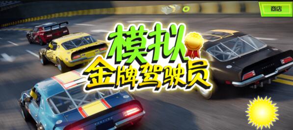 模拟金牌驾驶员截图
