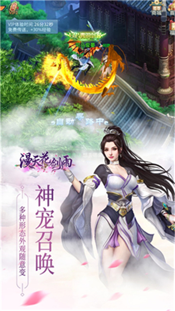 漫天花剑雨游戏截图