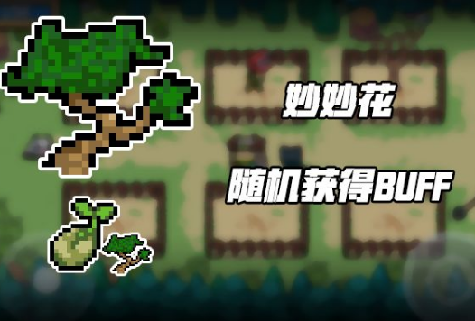元气骑士