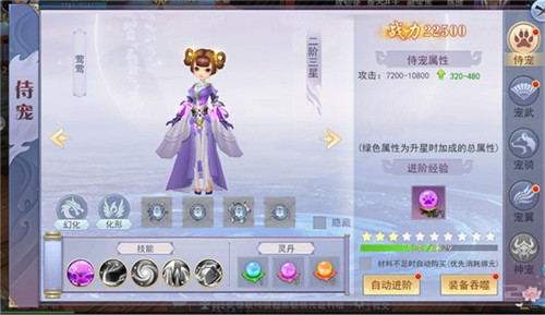 助你提升战力《奇迹仙侠》之侍宠介绍