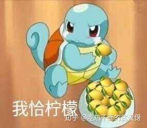 精灵宝可梦剑盾