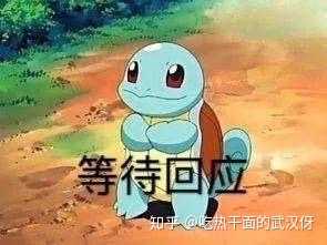 精灵宝可梦剑盾