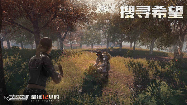 最终12小时截图