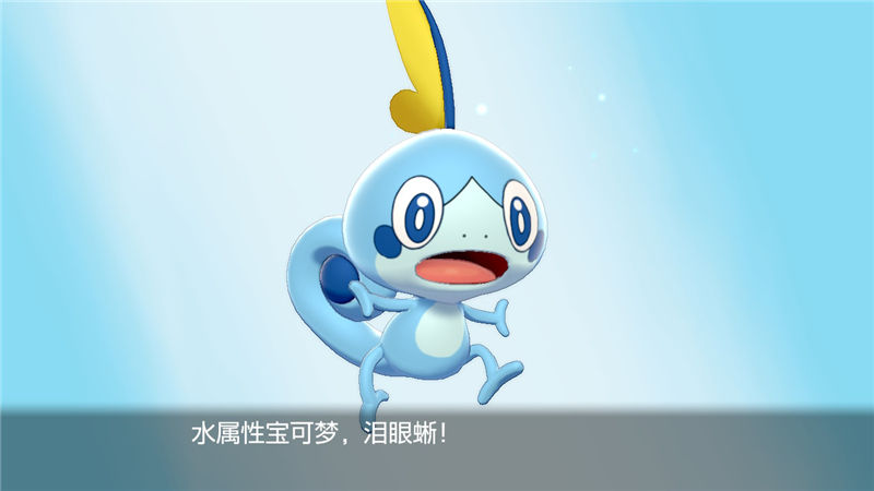 精灵宝可梦剑盾