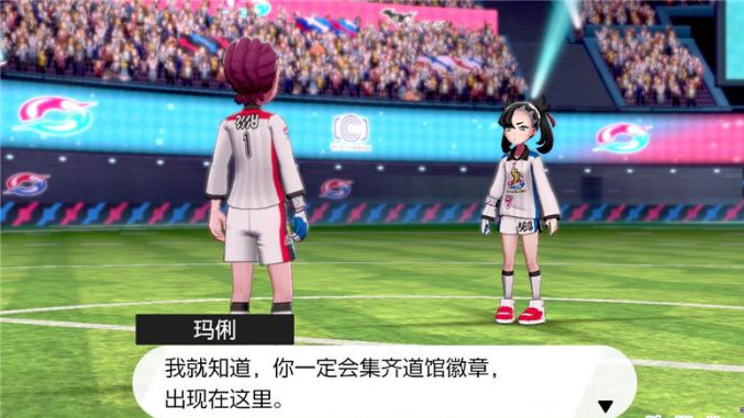 精灵宝可梦剑盾