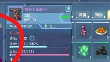 我的起源