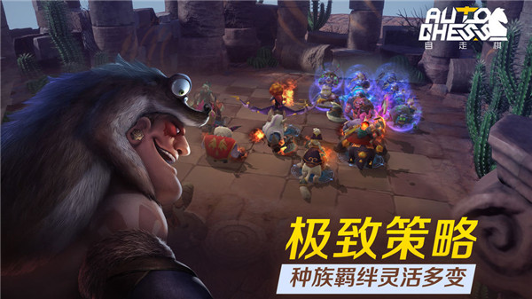 多多自走棋下载截图