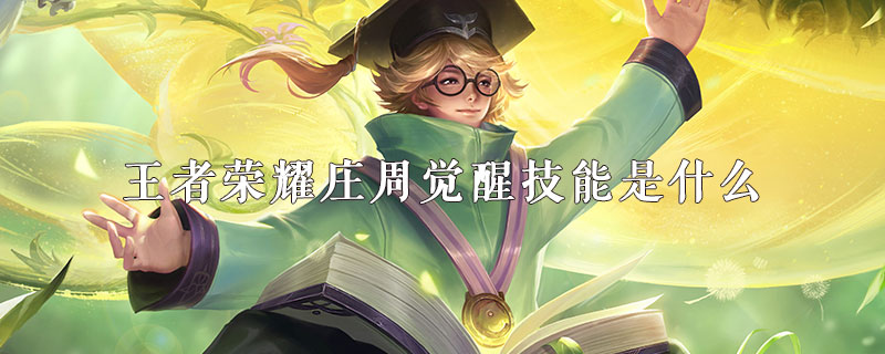 王者荣耀