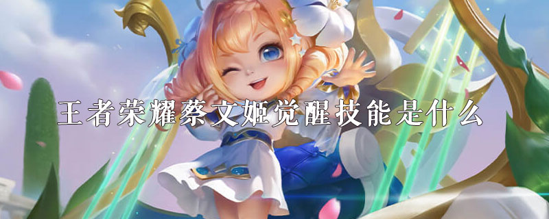 王者荣耀