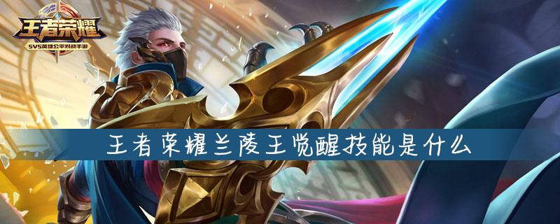 王者荣耀