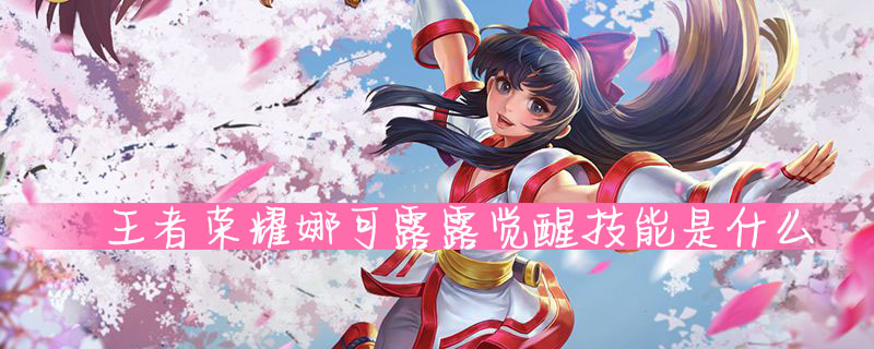 王者荣耀