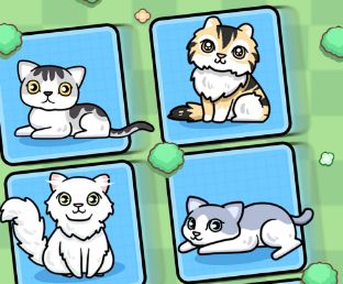 天天养大喵app