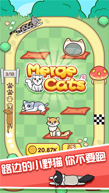 天天养大喵app截图