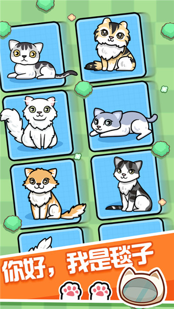 天天养大喵app截图