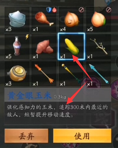 风云岛行动