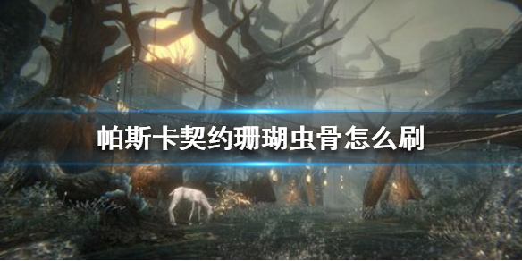 帕斯卡契约