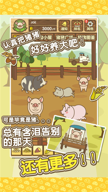 金猪养猪场手机版截图