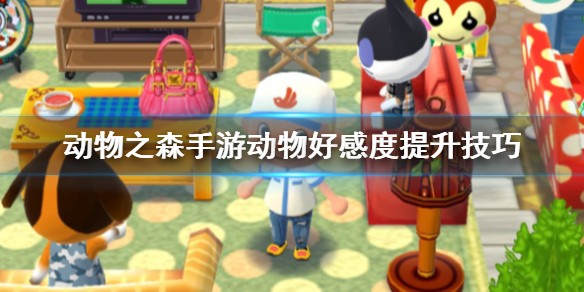 动物之森口袋露营