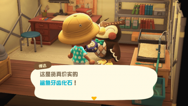 动物之森口袋露营