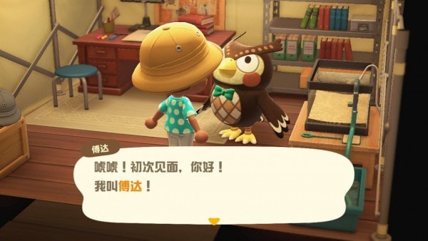 动物之森口袋露营