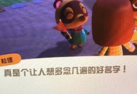 动物之森口袋露营
