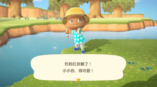 动物之森口袋露营
