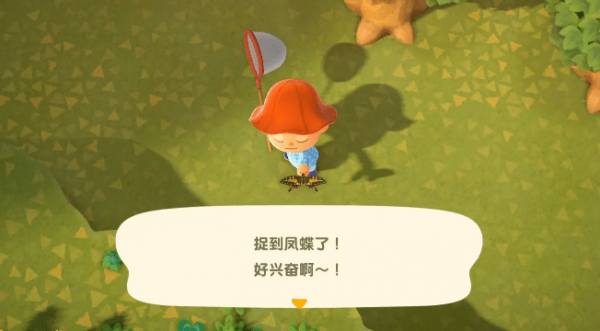 动物之森