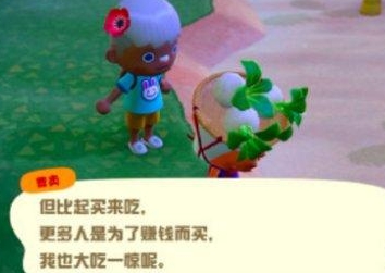 动物之森口袋露营