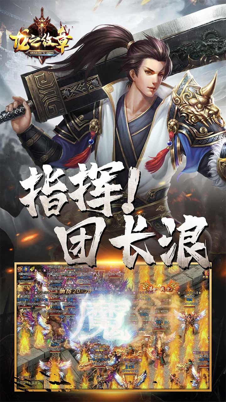 新龙之纹章截图