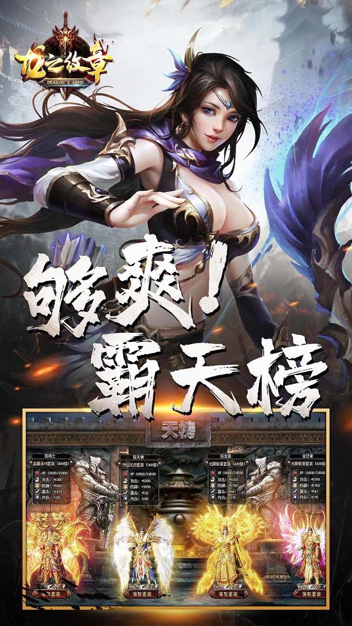 新龙之纹章截图