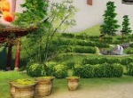 柳色烽烟外，鸠声谷雨时，来《天下》手游怎能错过“采茶“好时光？