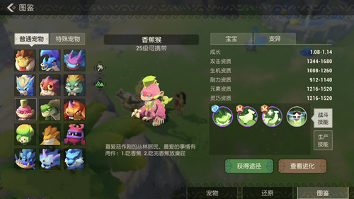 海岛纪元