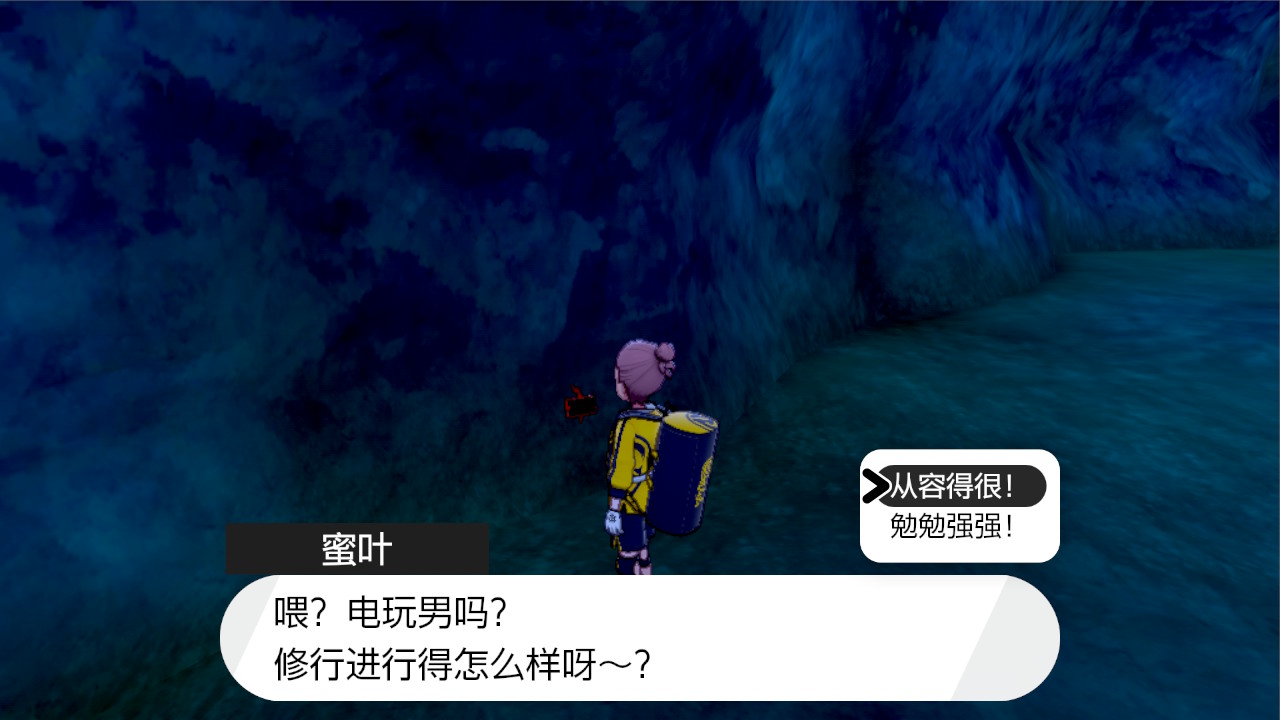 精灵宝可梦剑盾