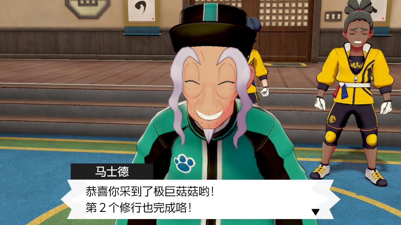 精灵宝可梦剑盾
